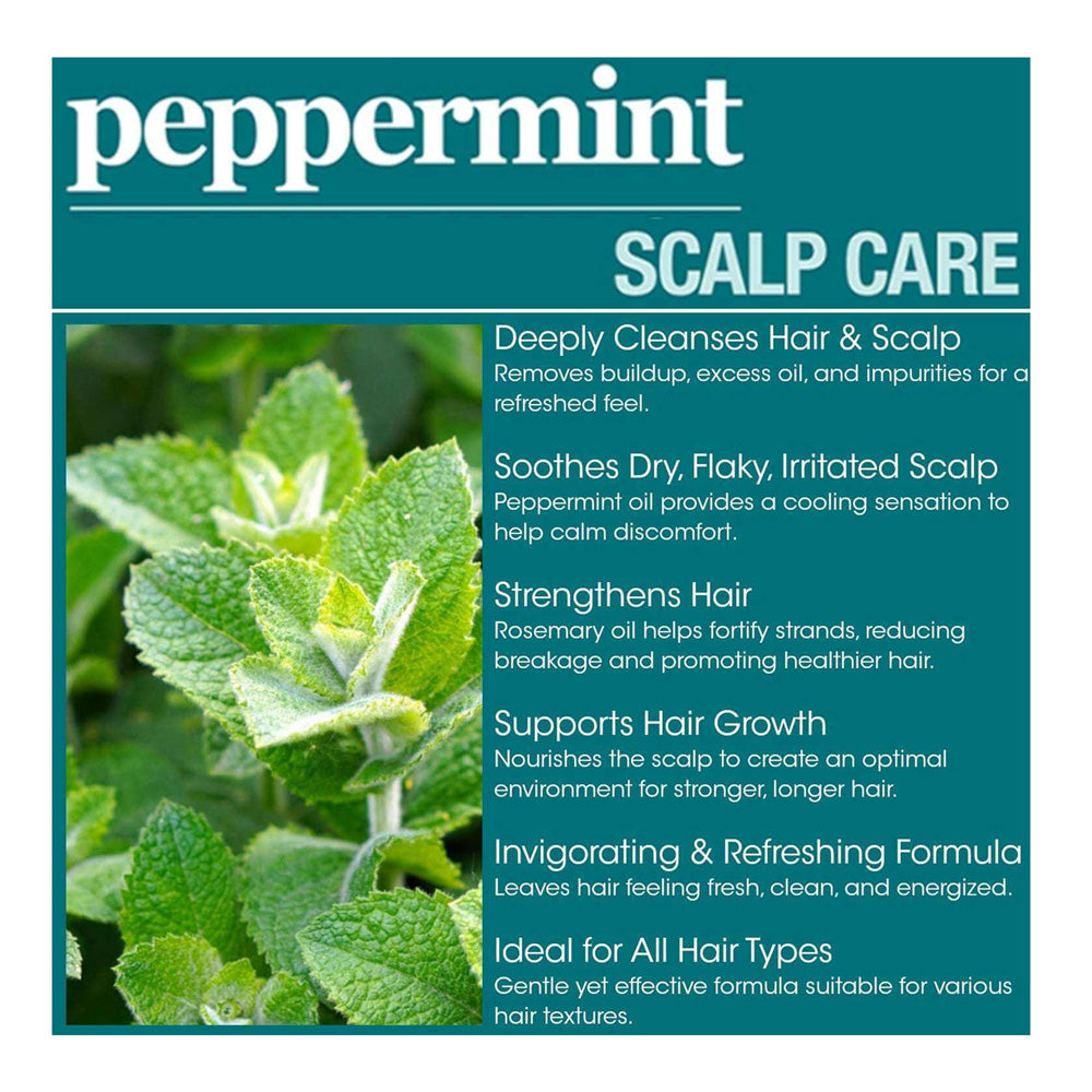 Difeel(Sunflower) Peppermint Scalp Care Shampoo (12oz)