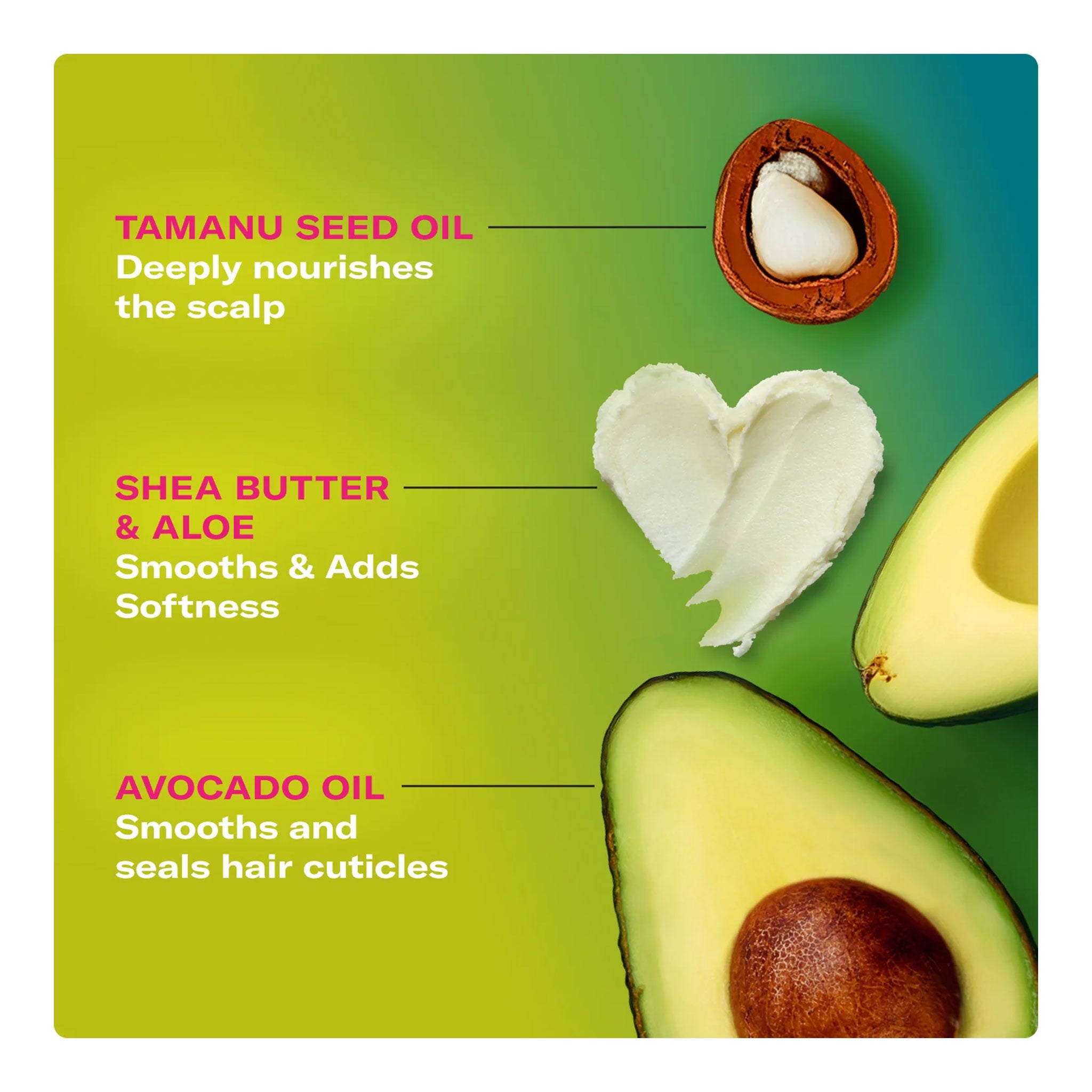 MIELLE Avocado & Tamanu Anti Frizz Shampoo (12oz)