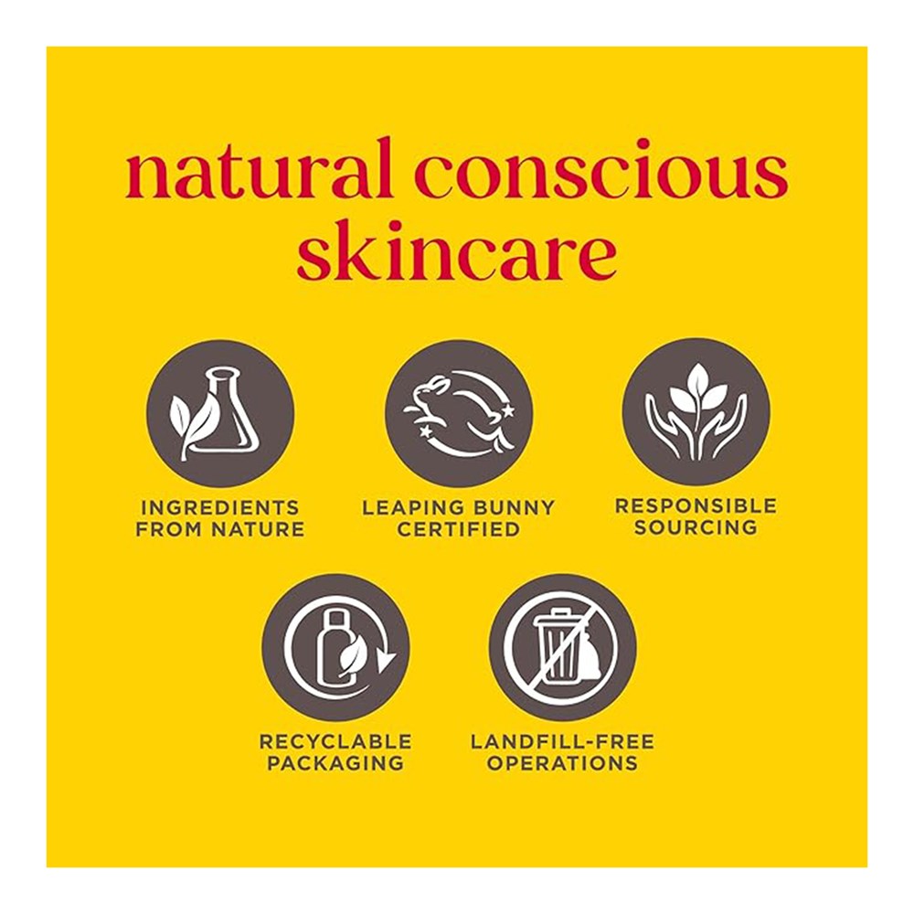 BURT'S BEES Lip Balm Birthday Cake (0.15oz)