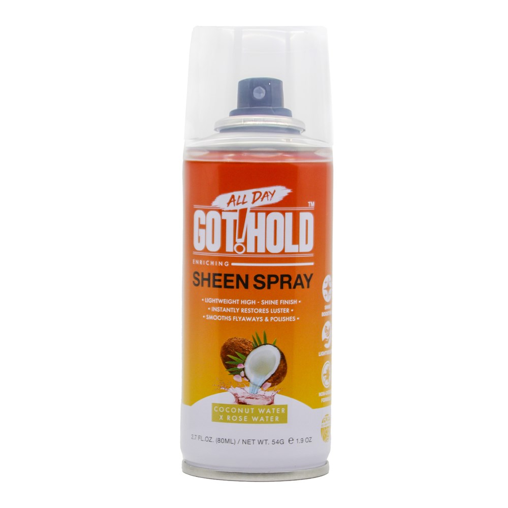 ALL DAY GOT HOLD Sheen Spray