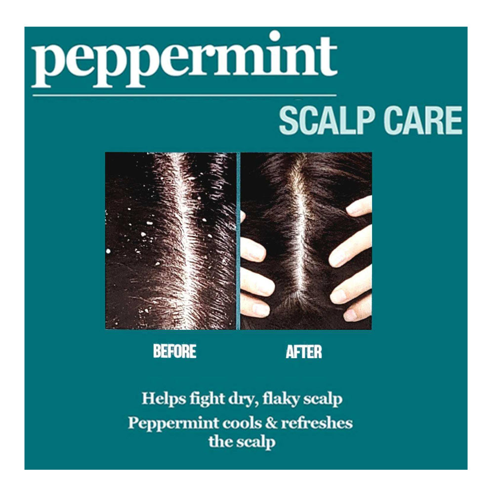 Difeel(Sunflower) Peppermint Scalp Care Shampoo (12oz)