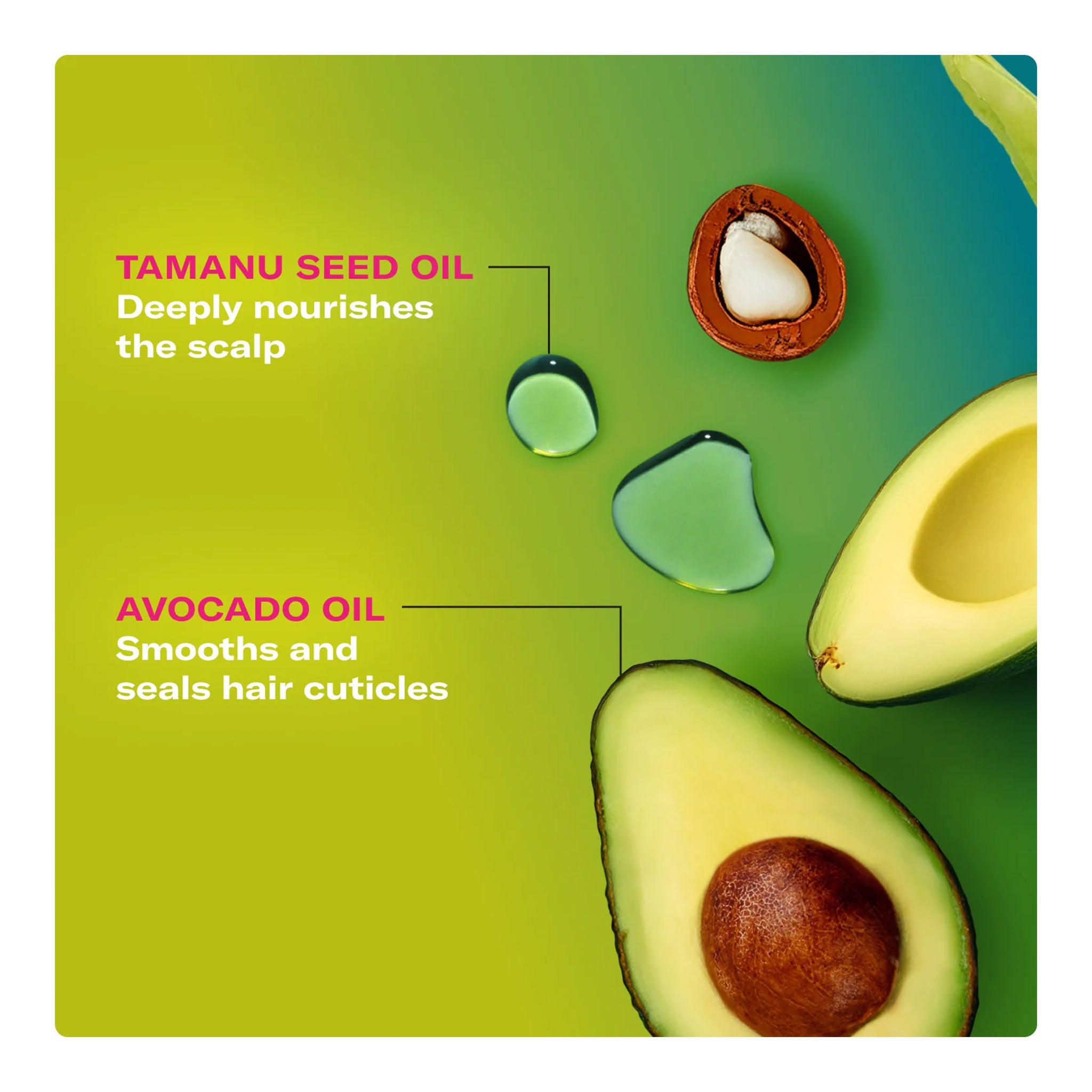 MIELLE Avocado & Tamanu Anti Frizz Slip & Seal Leave In Conditioner (8oz)