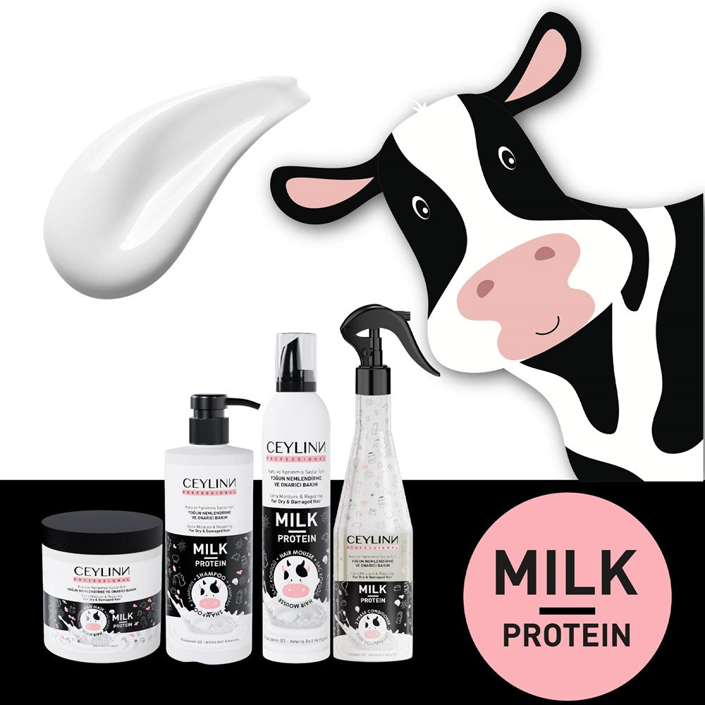 CEYLINN Milk Protein 2-Phase Blow Dry Spray (400ml)