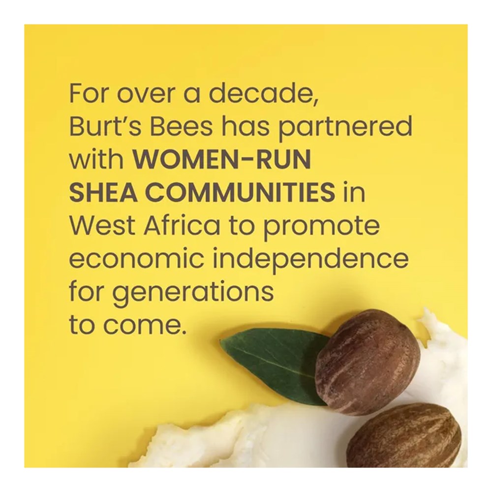 BURT'S BEES Lip Balm Shea + Cocount Oil (0.34oz)