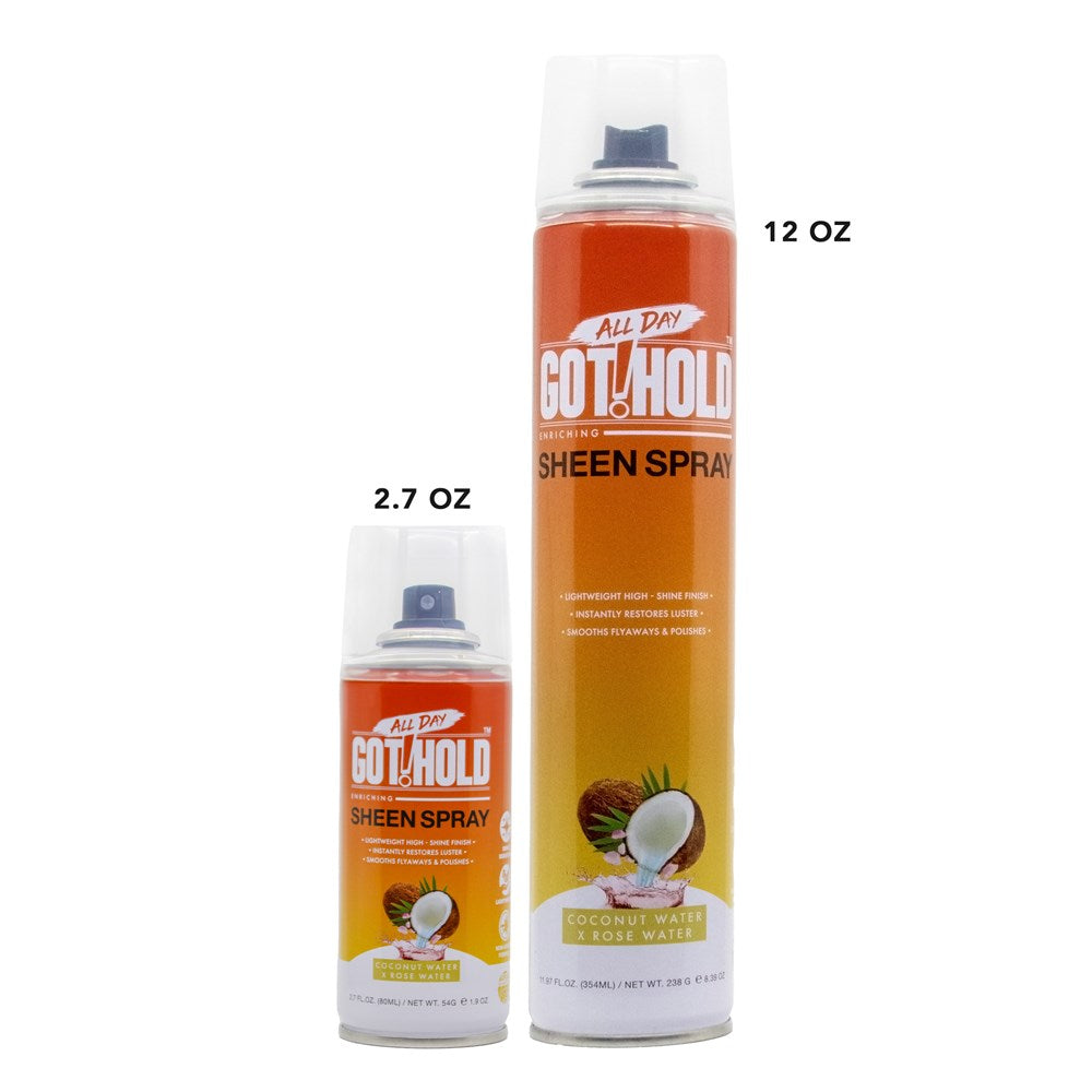 ALL DAY GOT HOLD Sheen Spray