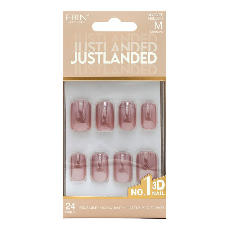 EBIN 3D Nail JUSTLANDED